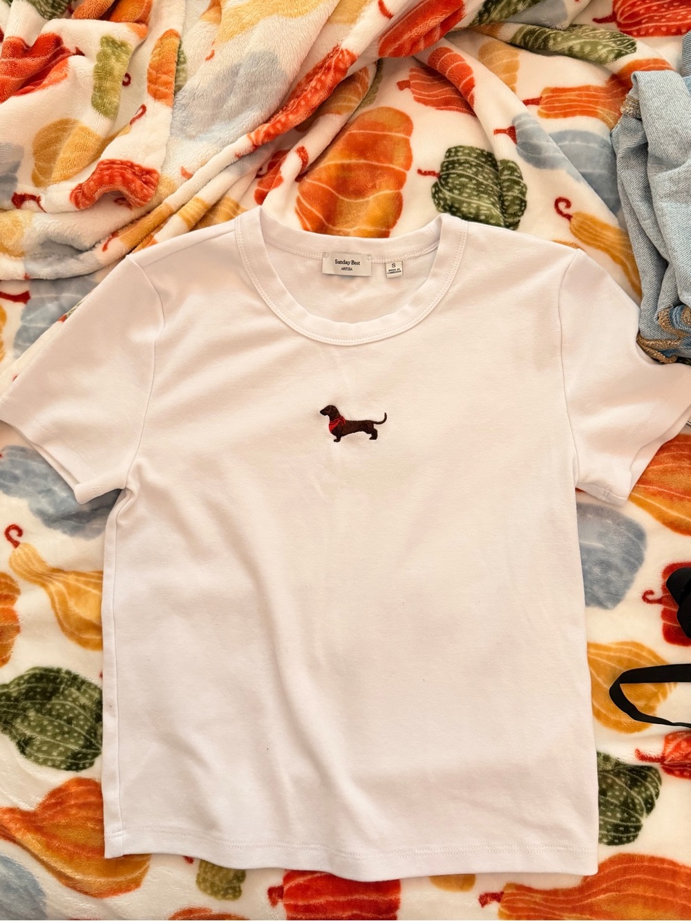 Sunday Best White Tee with Embroidered Brown Dachshund